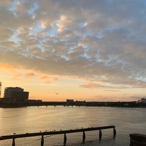 Meet your Posher, Angel’s